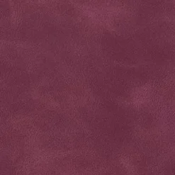 Pochette latérale Agrasen Ki Baoli