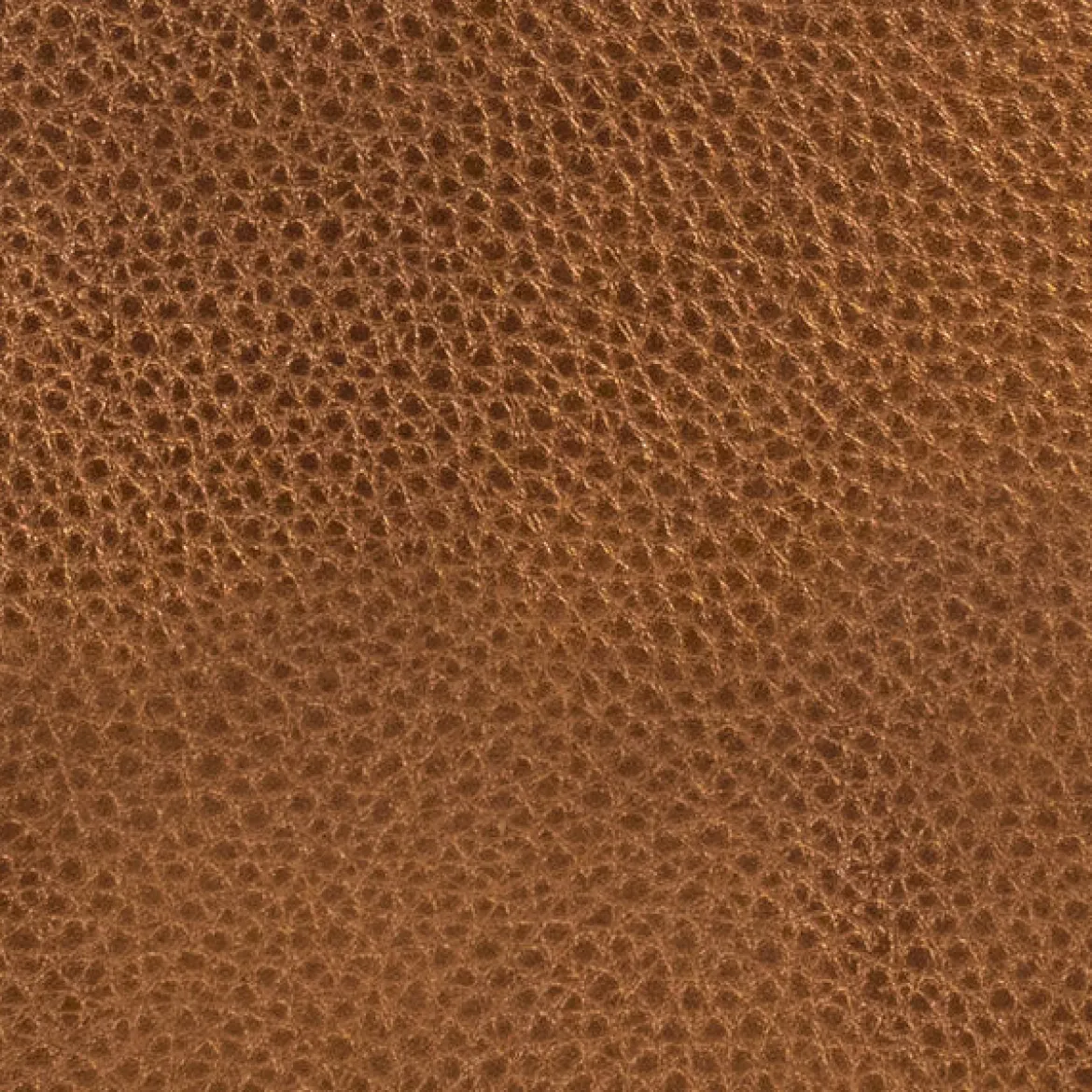 Pochette latérale El Dorado
