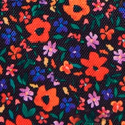 Pochette latérale Indiana State Museum