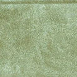 Pochette latérale Riverdale