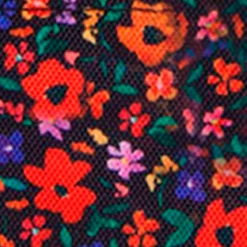 Pochette Nano Indiana State Museum